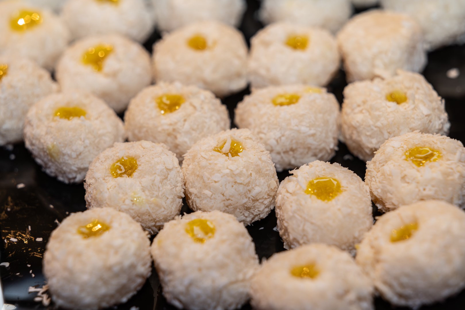 SBH Gala 2024-205.jpg